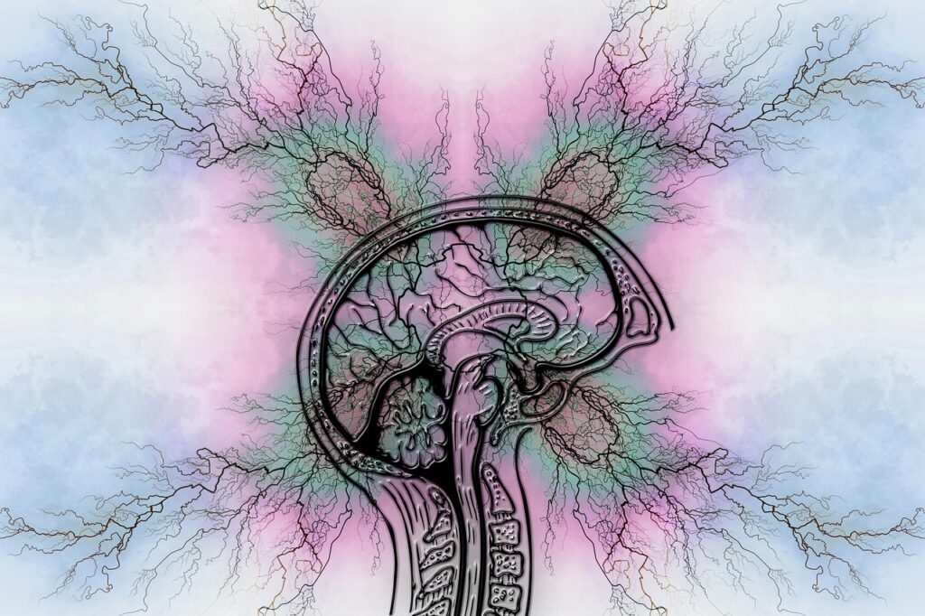 Belly Fat And Diabetes