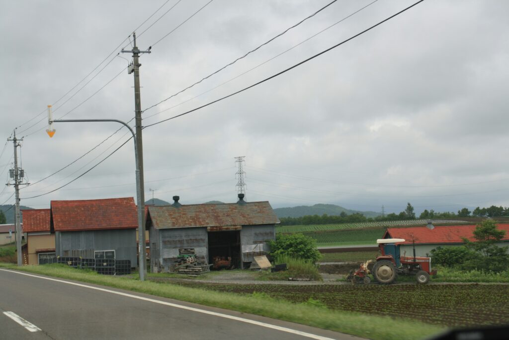 GOLO Release Review: A Doctors Honest Opinion