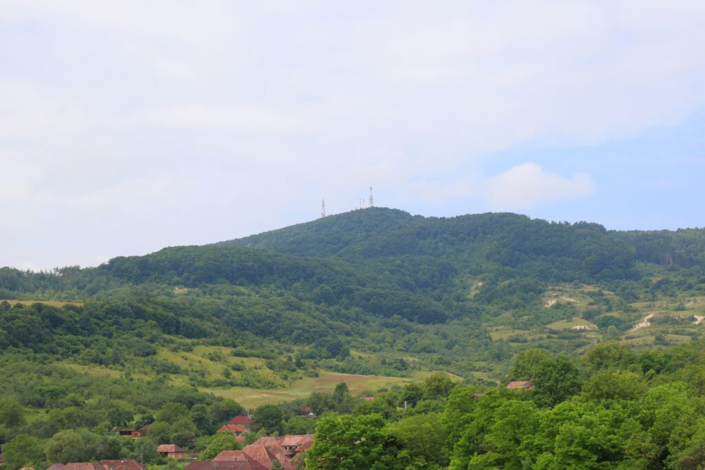 GOLO Release Review: A Doctors Honest Opinion