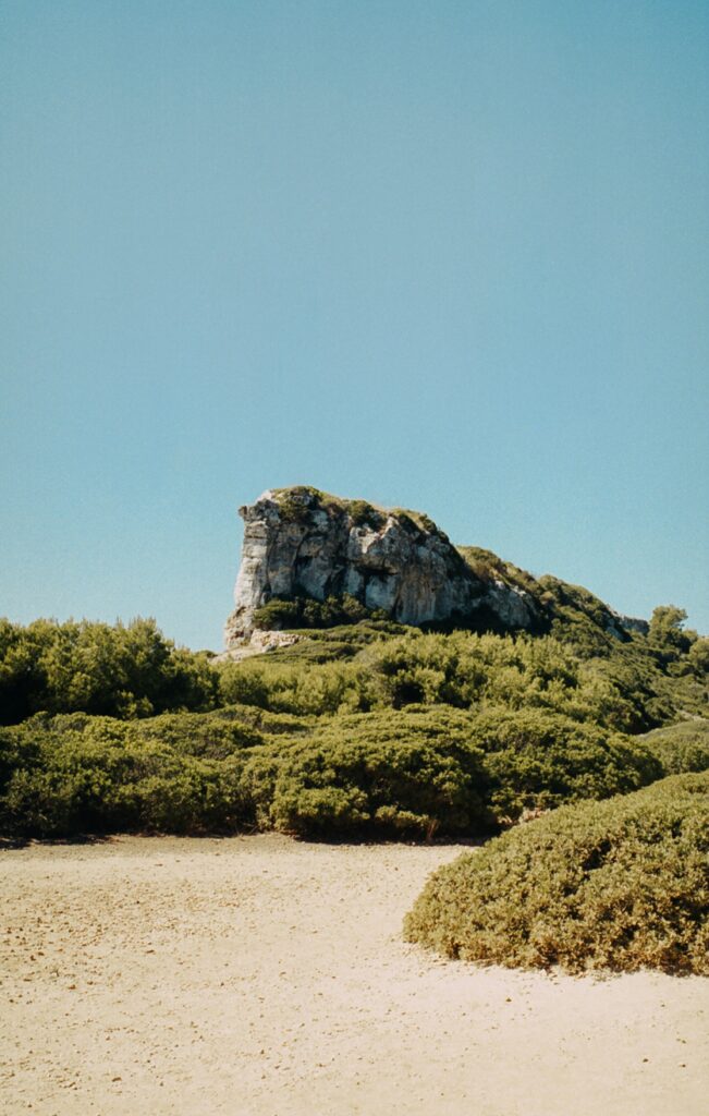 My Advice on Mitolyn Weight Loss Supplements