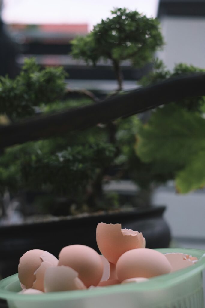 Are ACV (Apple Cider Vinegar) Gummies Healthy?